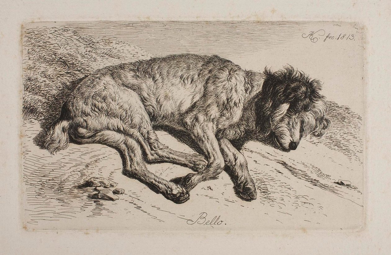 Sovende hund, Bello av Johann Adam Klein