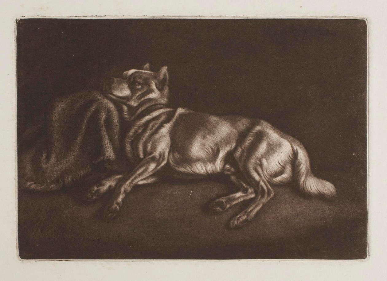 Spisshund av Johann Adam Klein