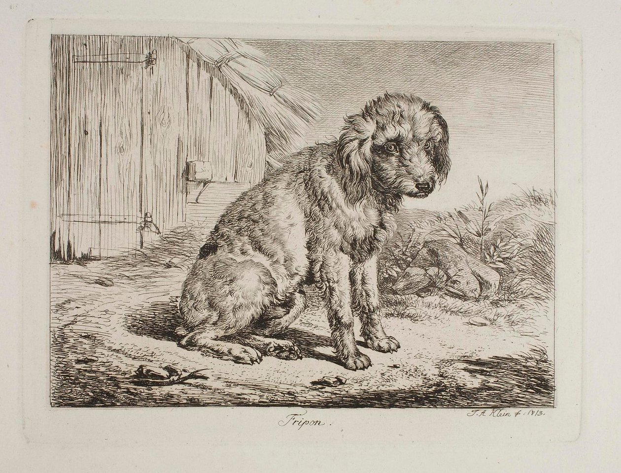 Puddelen Fripon av Johann Adam Klein