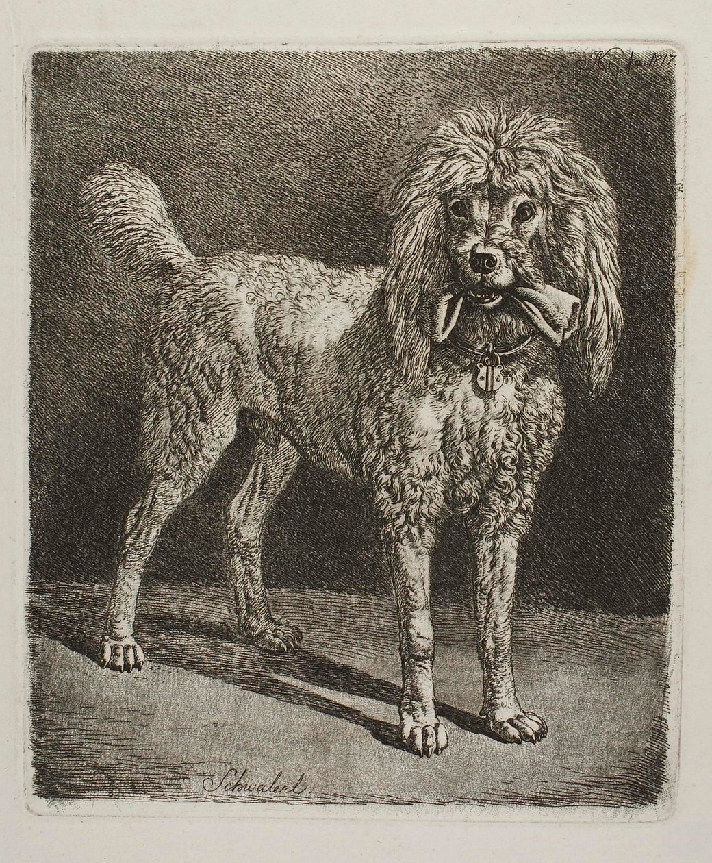 Puddelen Schwalerl av Johann Adam Klein