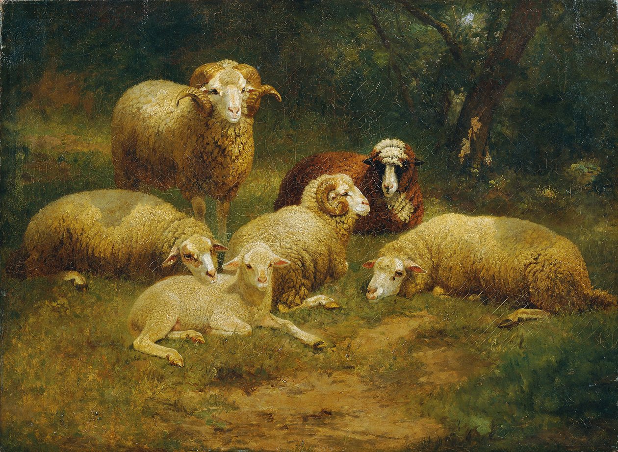 sau av Johann Baptist Hofner