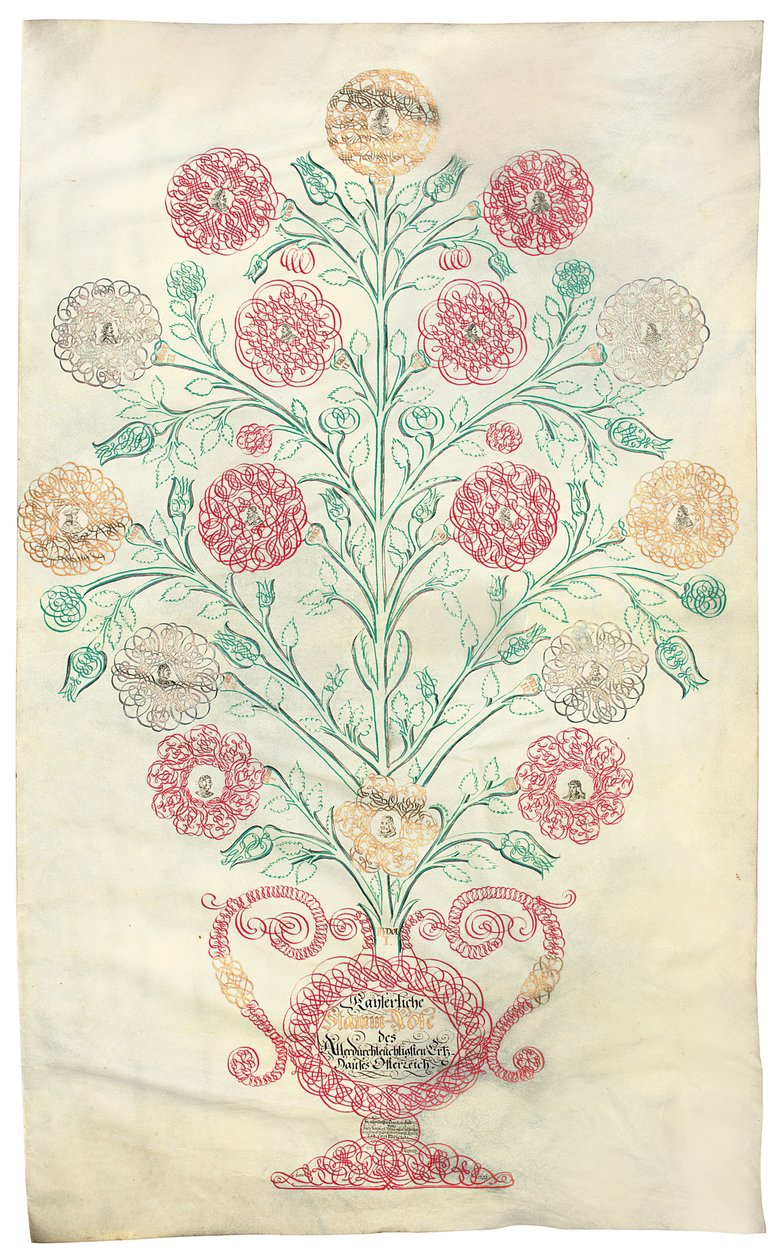 "Rosen", et slektstre presentert for keiser Charles VI, 1731 av Johann Carl Paricius