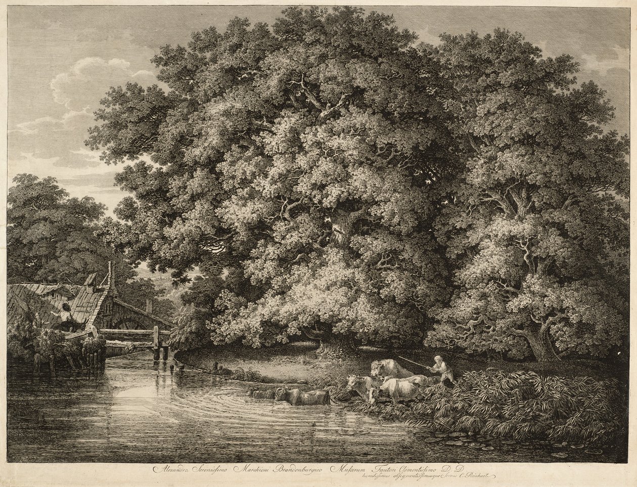 En bonde kjører storfeene sine i vannet av Johann Christian Reinhart