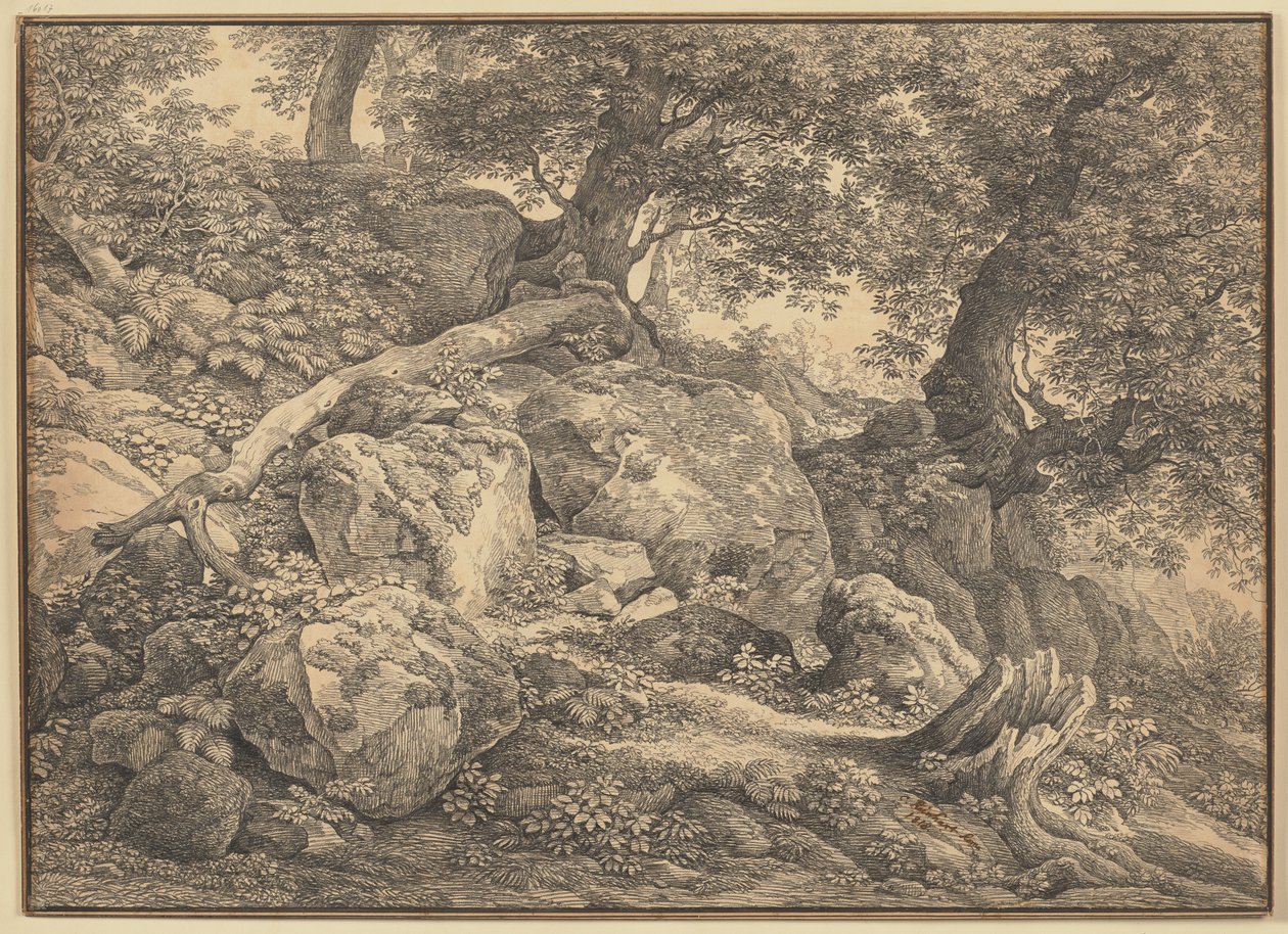 Skråning med steinblokker og oliventrær i Chigi-fyrstenes park i Ariccia av Johann Christian Reinhart