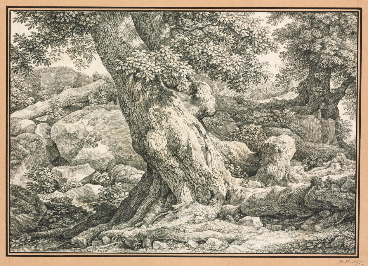 Tre studie i steinete terreng av Johann Christian Reinhart