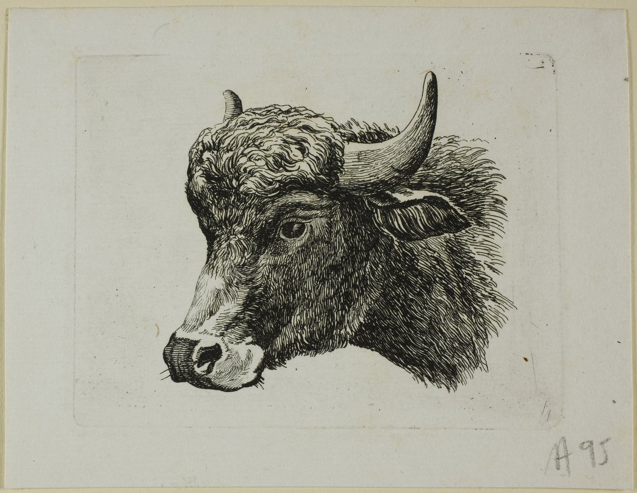 Buffalo Head Facing Venstre, fra Die Zweite Thier Folge av Johann Christian Reinhart