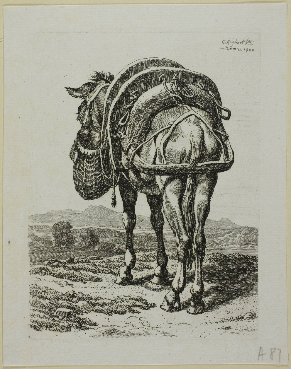 Feeding Mule - Rear, fra Die Zweite Thier Folge av Johann Christian Reinhart