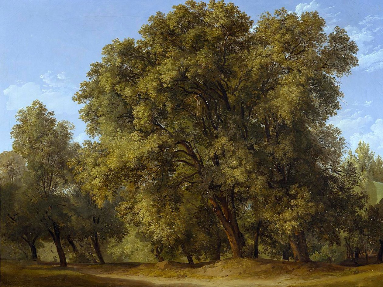 Skogscene av Johann Christian Reinhart