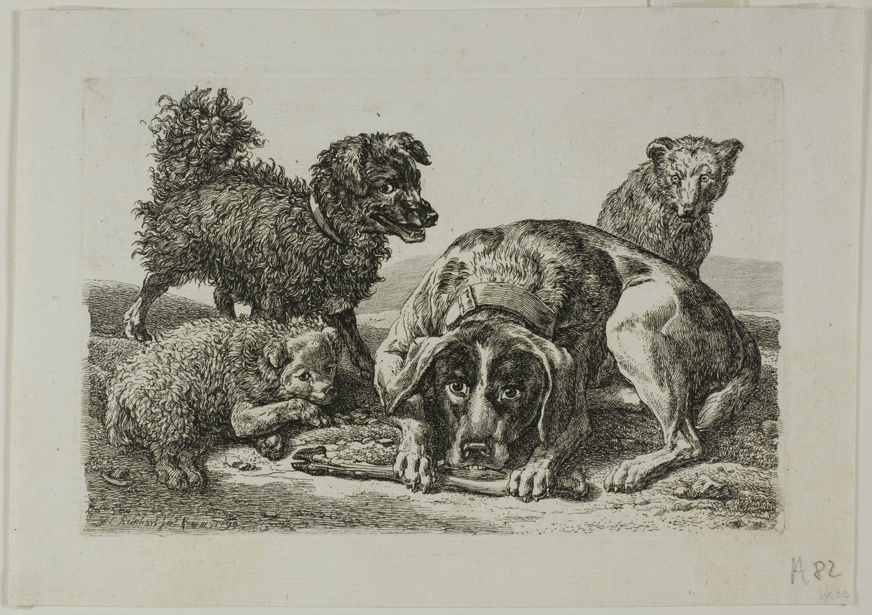Fire hunder, fra Die Zweite Thier Folge av Johann Christian Reinhart