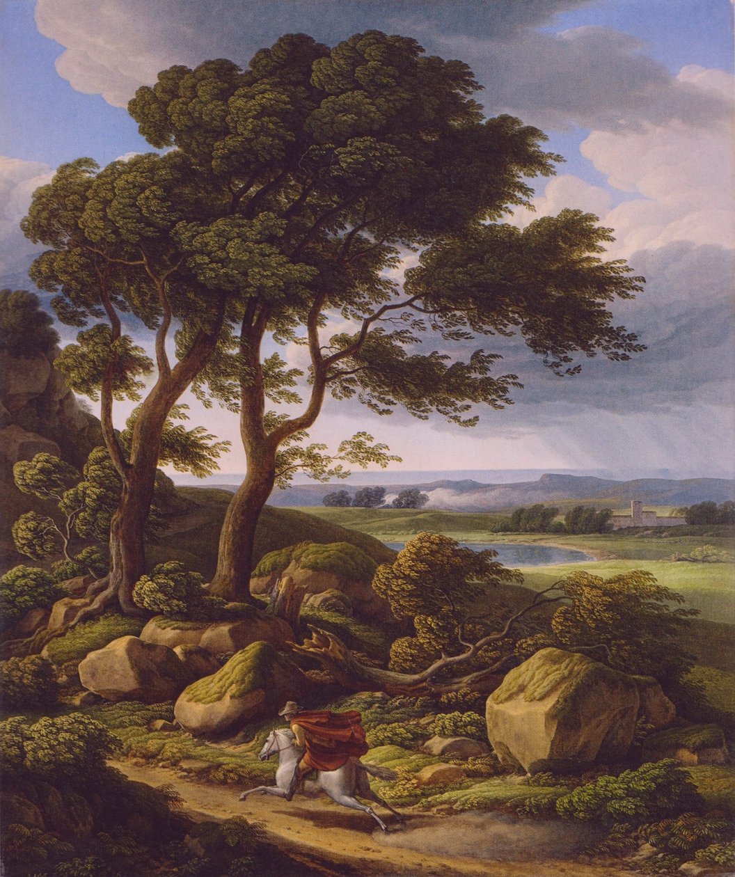  av Johann Christian Reinhart