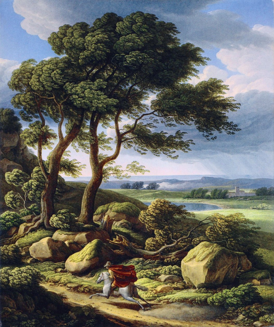  av Johann Christian Reinhart