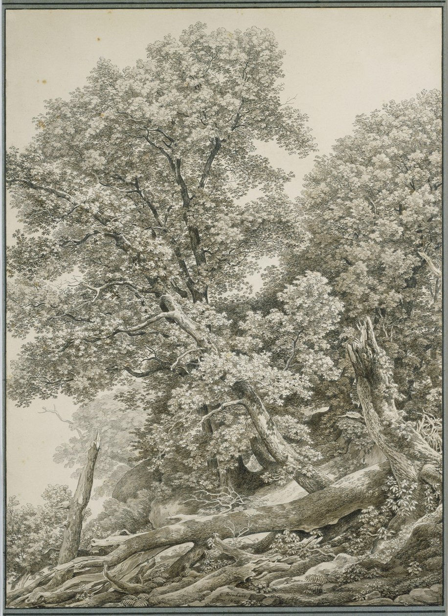 Stor trestudie av Johann Christian Reinhart