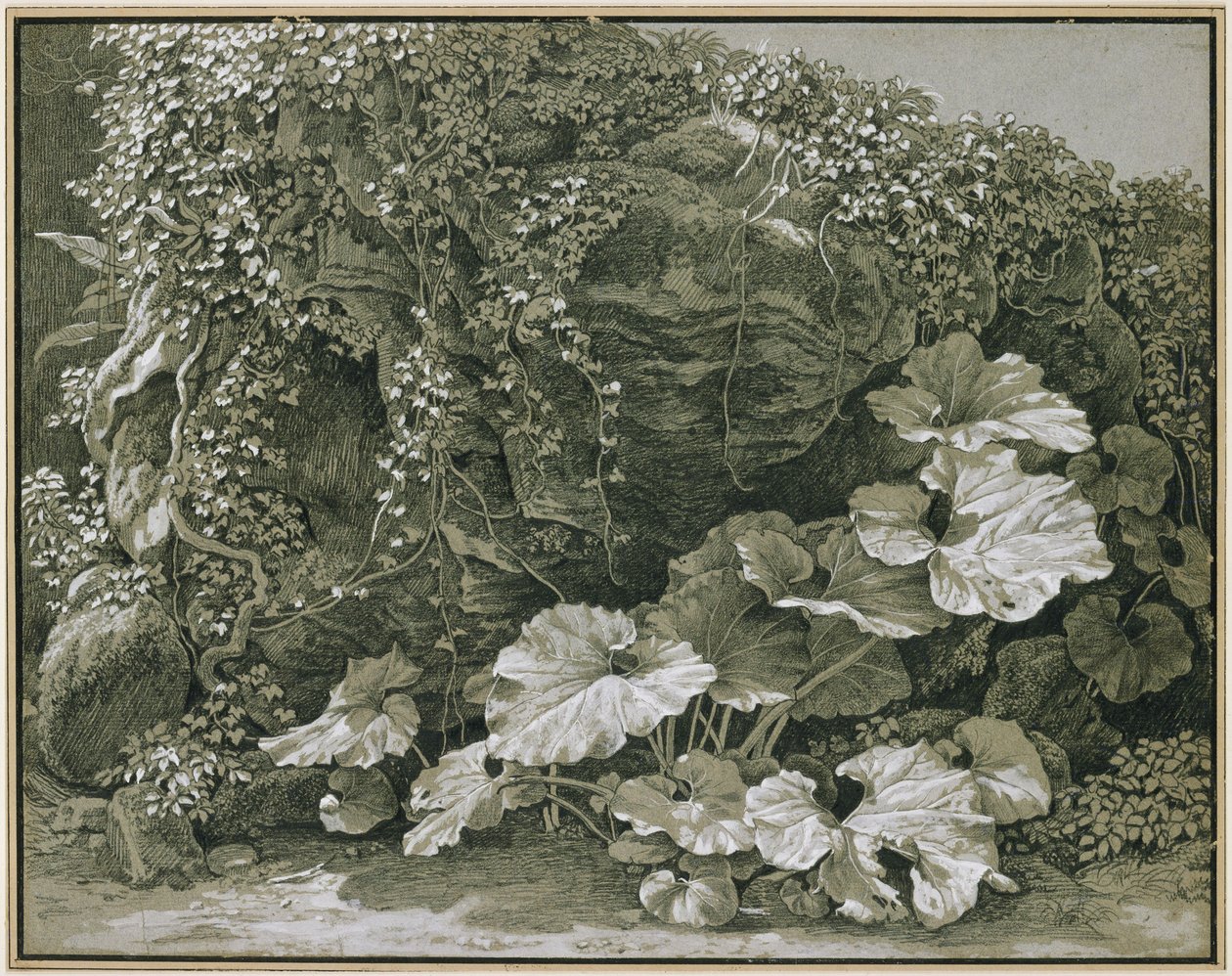 Storbladede planter ved en klippegrotte dekket av eføy av Johann Christian Reinhart