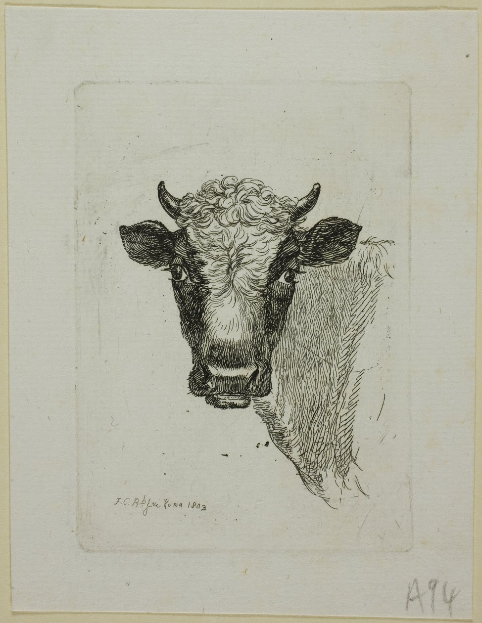 Head of a Young Bull, from Die Zweite Thierfolge   1297741   no       norwegian Successfully Translated  Original: Zaal in Frascati te Amsterdam 1855 Souvenir den bezoekers van Frascati aangeboden. Amsterdam 9-24 september 1855 (title on object) Translat:  av Johann Christian Reinhart