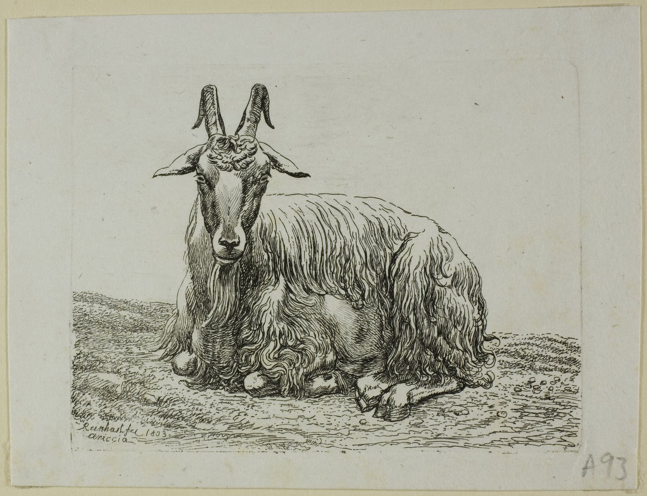 Liggende geit, fra Die Zweite Thiernahme av Johann Christian Reinhart