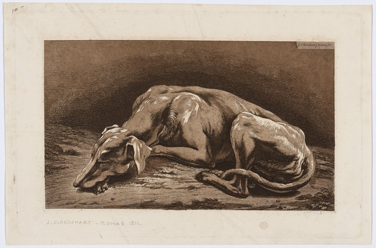 Sovende mynde av Johann Christian Reinhart