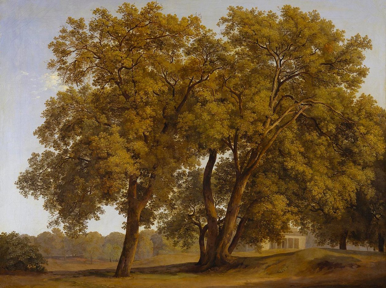Trær i hagene ved Villa Borghese av Johann Christian Reinhart