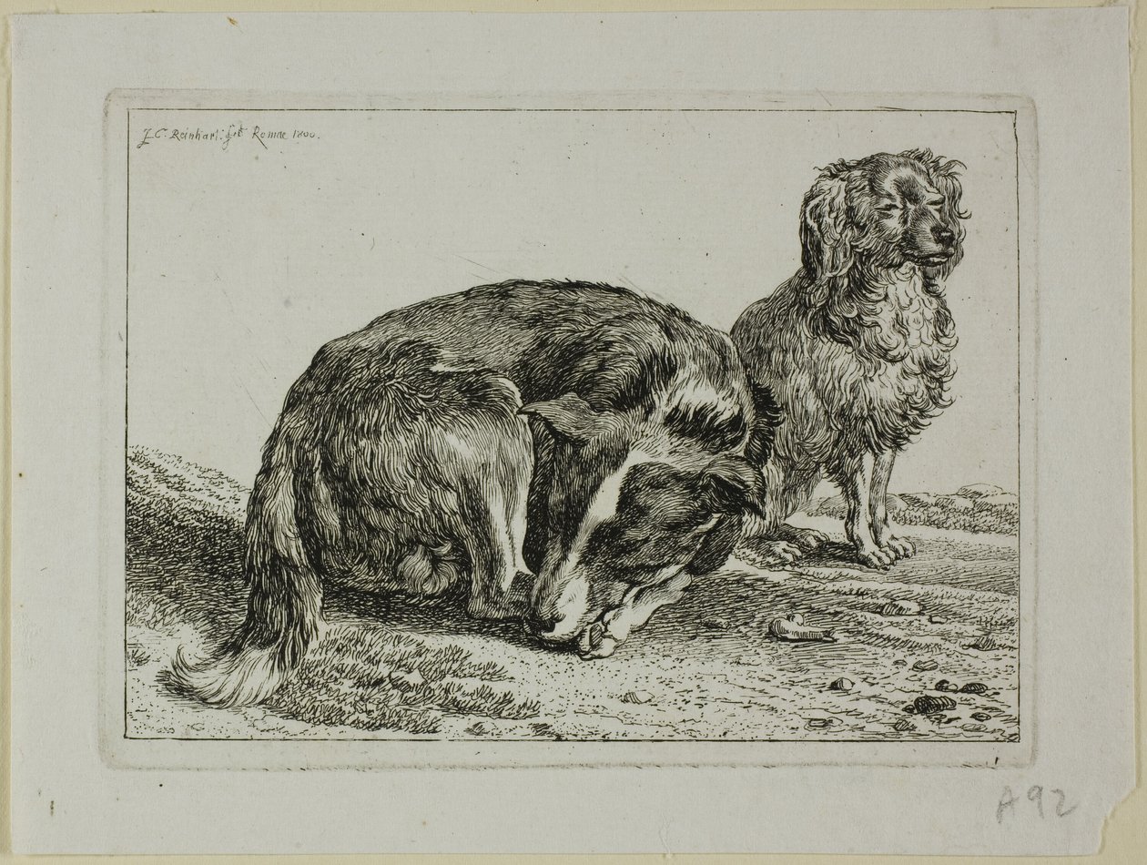 Two Dogs Resting, fra Die Zweite Thierfolge av Johann Christian Reinhart