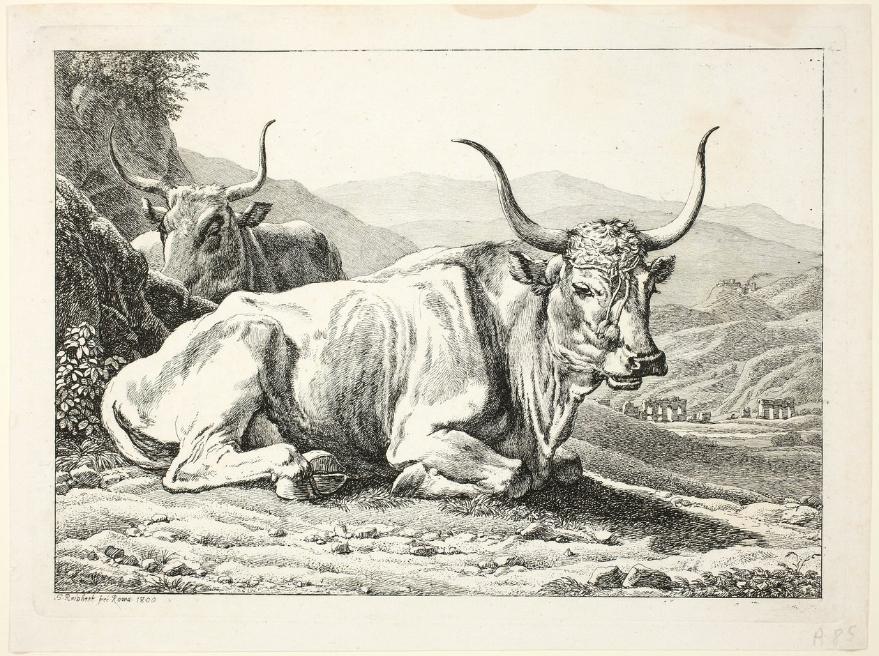 To romerske okser hviler, fra Die Zweite The Erfolge av Johann Christian Reinhart