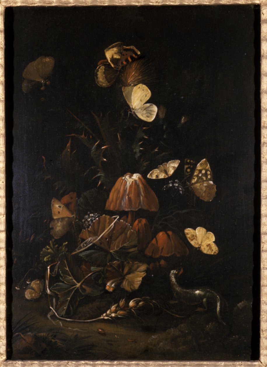Blomster med sommerfugler og øgle (olje på eiketre) av Johann Christian Thomas Winck