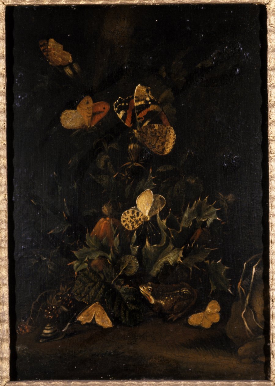 Blomster med sommerfugler og padde (olje på eiketre) av Johann Christian Thomas Winck