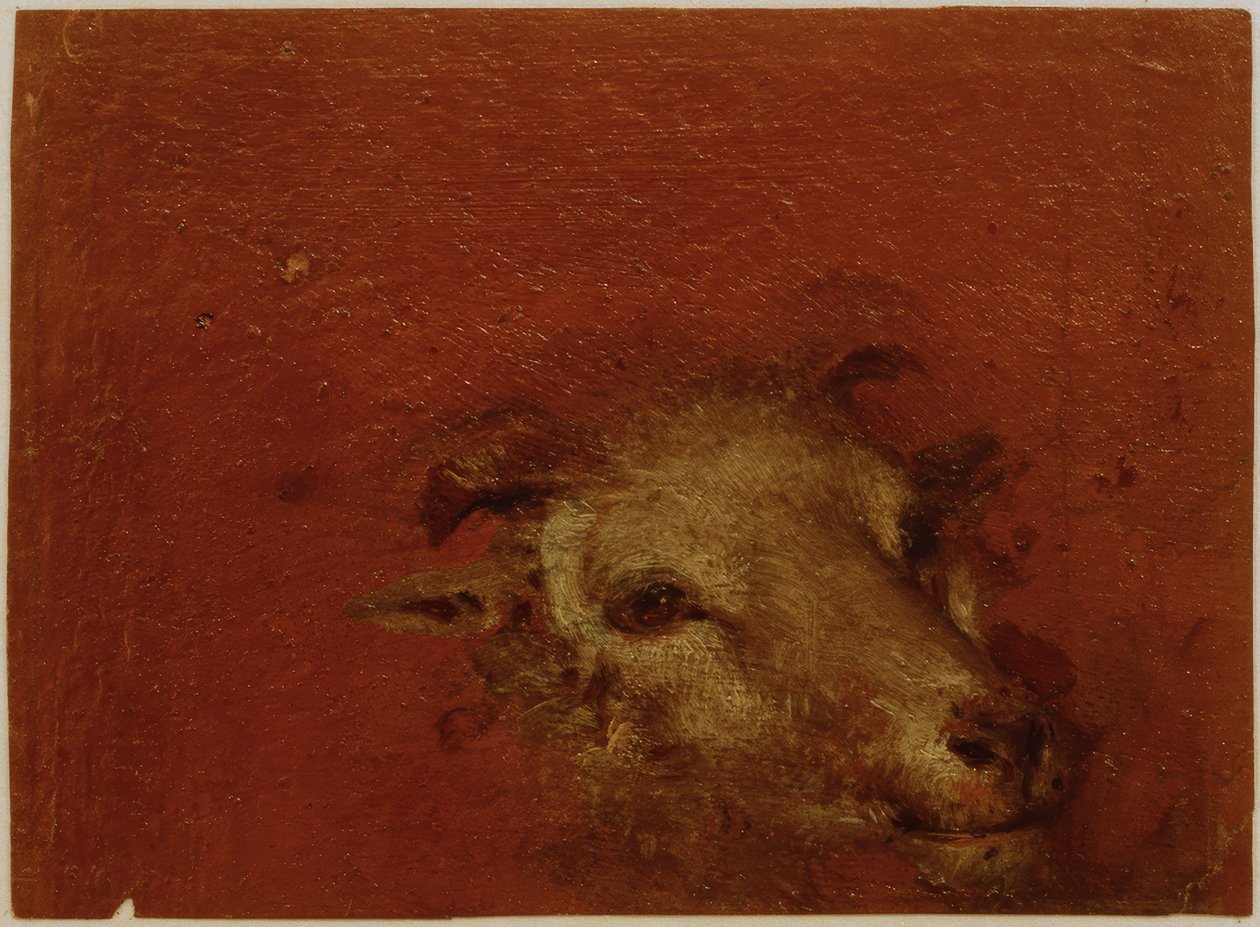 Geitehode av Johann Conrad Seekatz