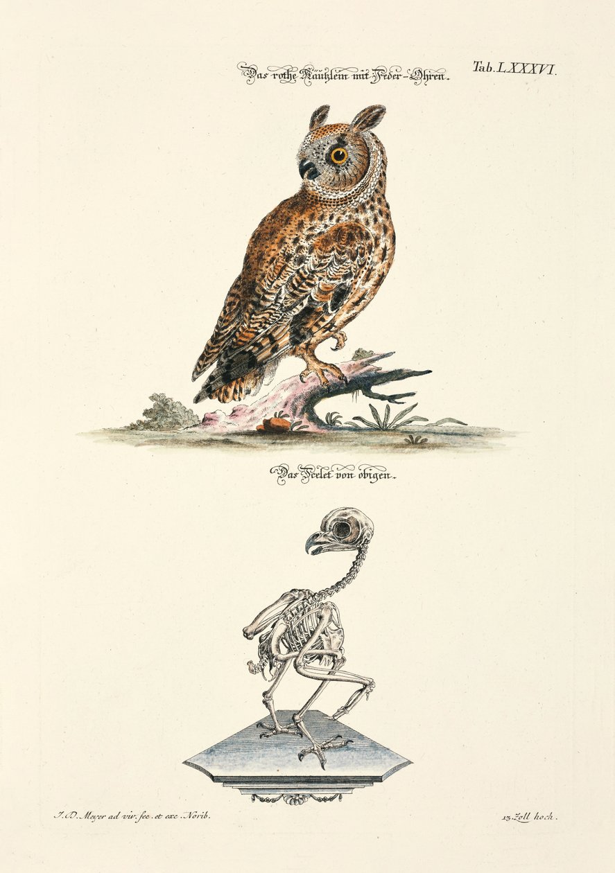  av Johann Daniel Meyer