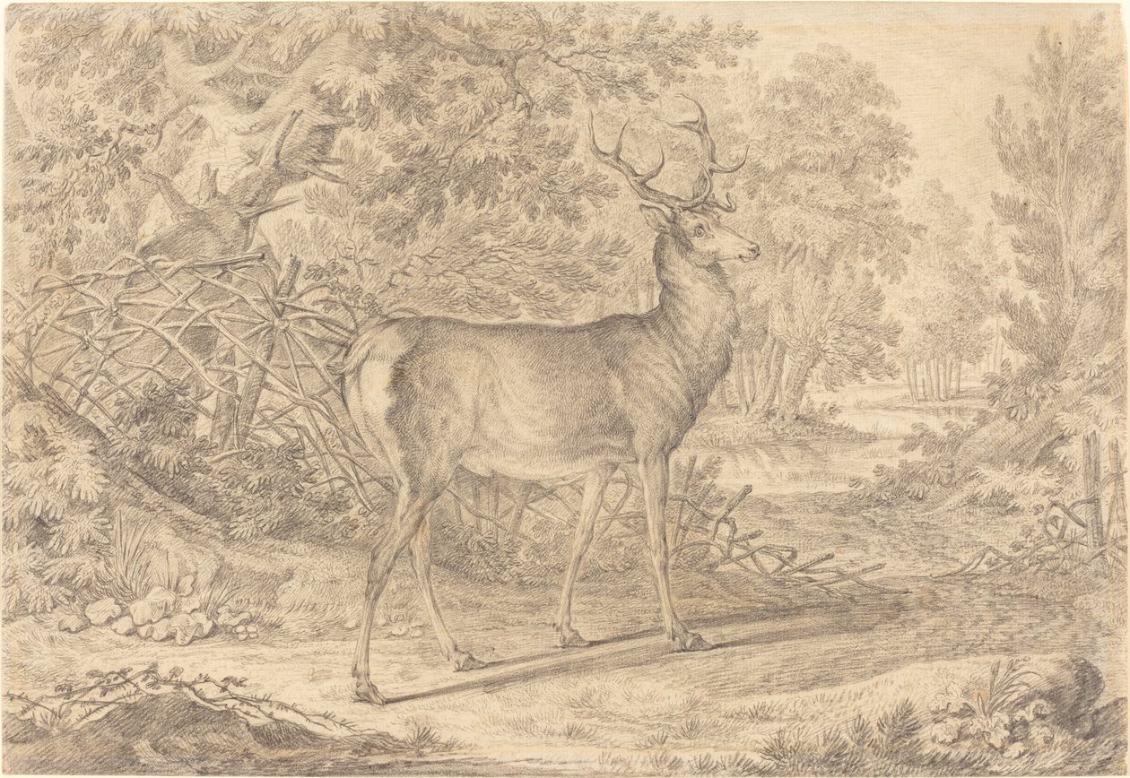 En fantastisk unghjort foran et Wattle-gjerde av Johann Elias Ridinger