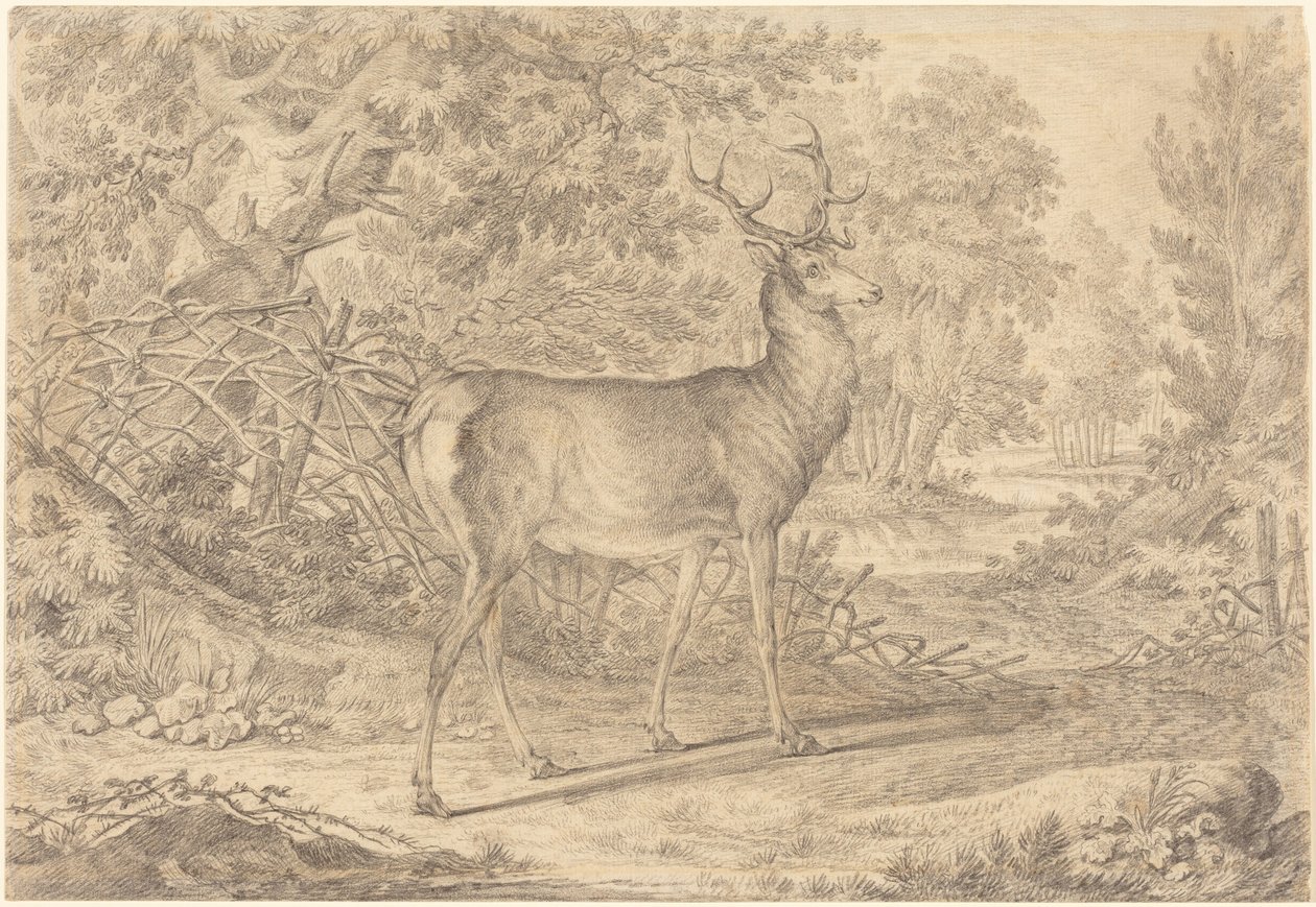 En praktfull ung hjort foran et flettverksgjerde av Johann Elias Ridinger
