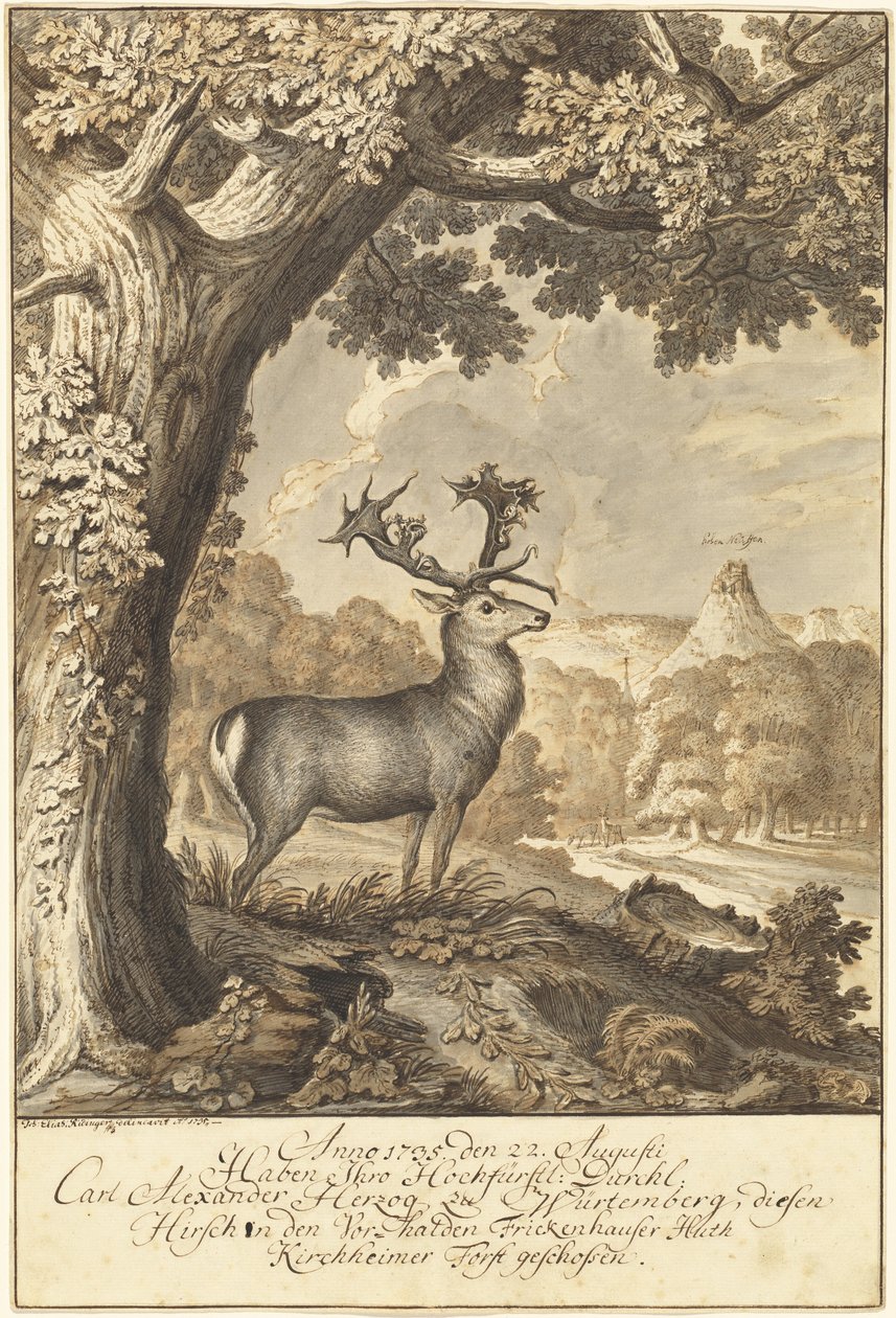 En hjort under en mektig eik av Johann Elias Ridinger
