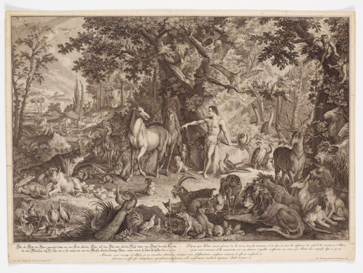 Jahangir, 17th century.    1206396   no       norwegian Successfully Translated  Original: Le Charge d Translat: Le Charge d 1334293 no norwegian Successfully Translated Original: Horse with Head Lowered, 1880searly 1890s. Translat: Keizerskroon, orchidee  av Johann Elias Ridinger