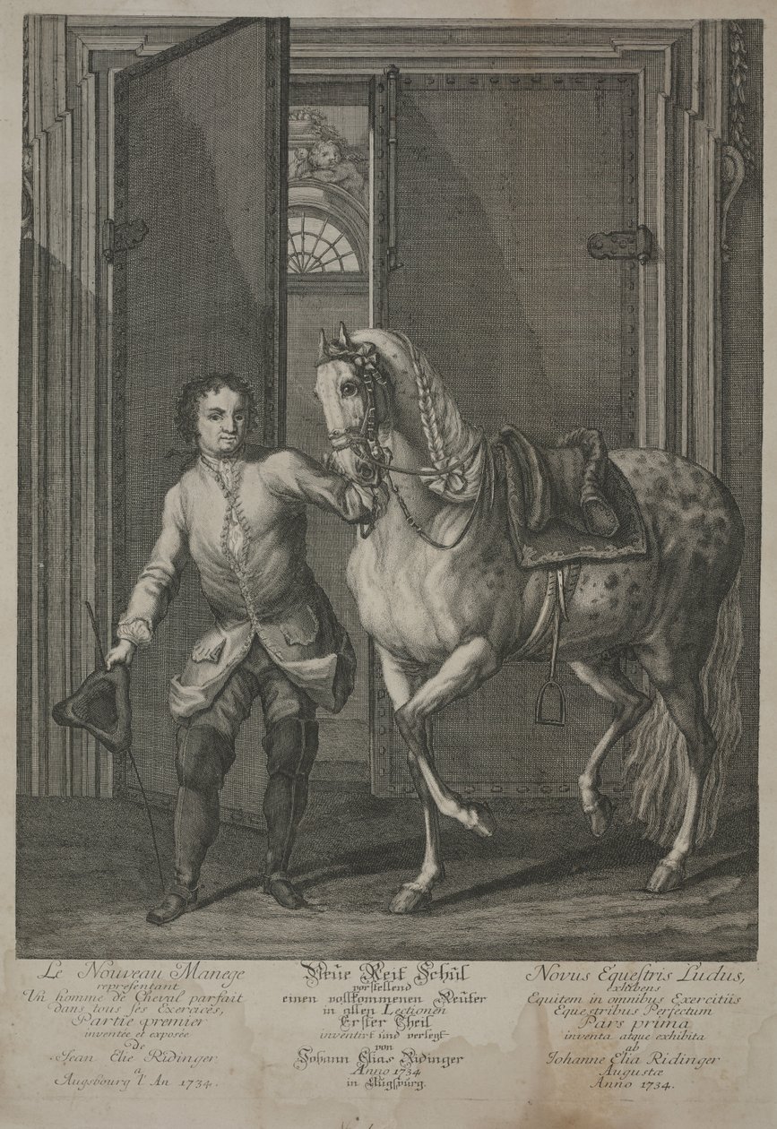 New School of Horsemanship av Johann Elias Ridinger