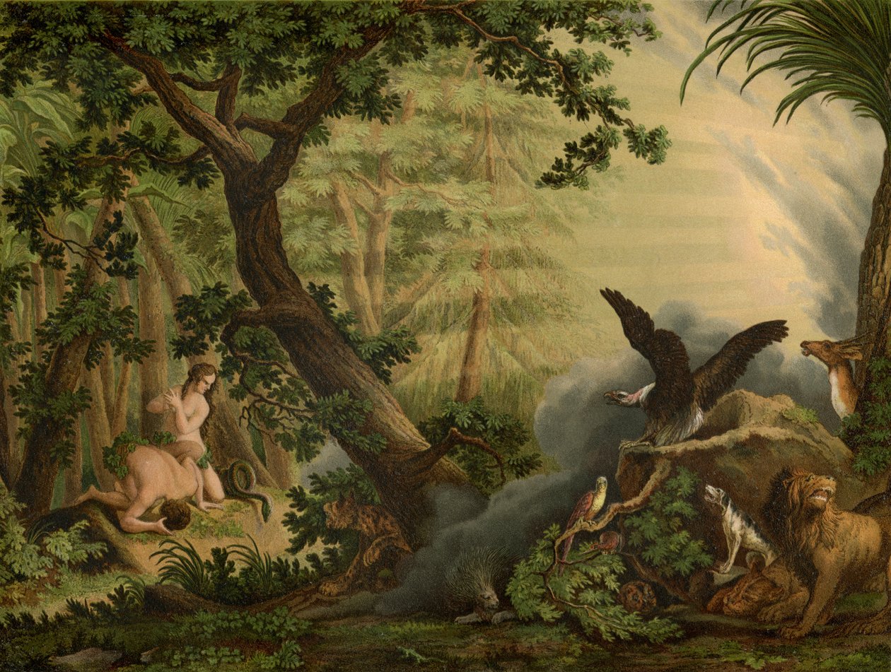 Høsten av Johann Elias Ridinger or Riedinger