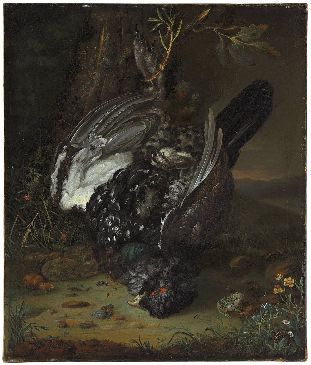 En svarthane i et skogkledd landskap, 1747 av Johann Friedrich von Grooth