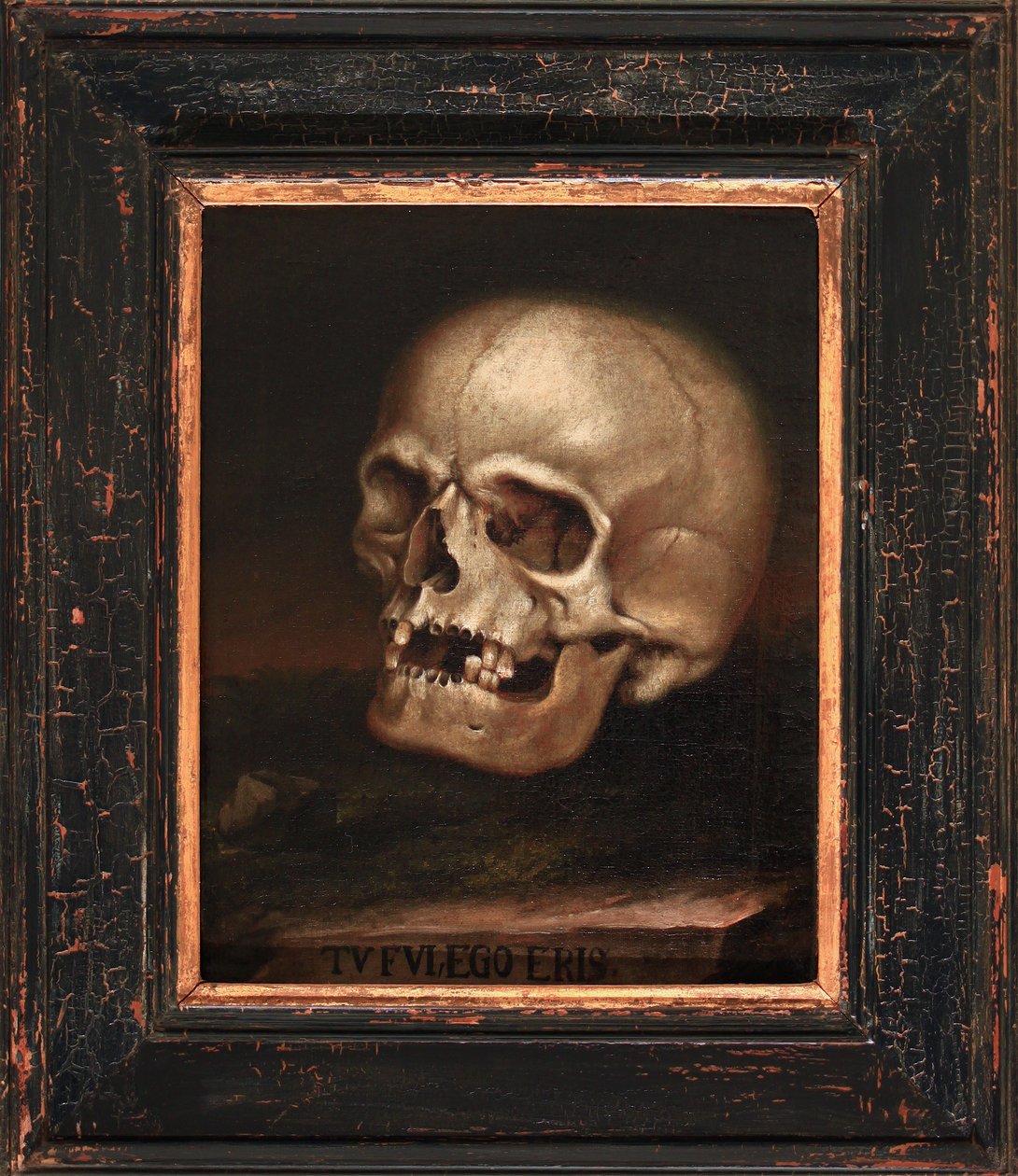  av Johann Georg Dieffenbrunner