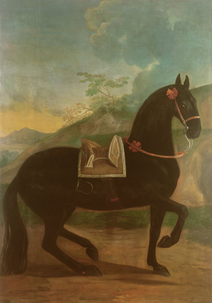 En svart hest med en spansk sal av Johann Georg Hamilton