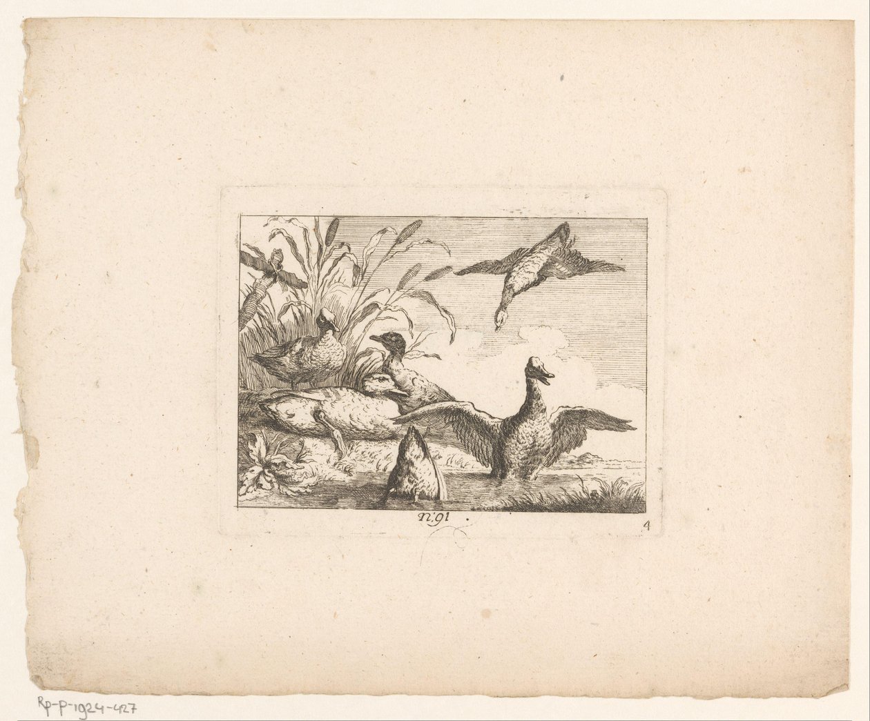 Landskap med seks ender Fugler i landskap (serietittel) av Johann Georg Hertel (I) (possibly)