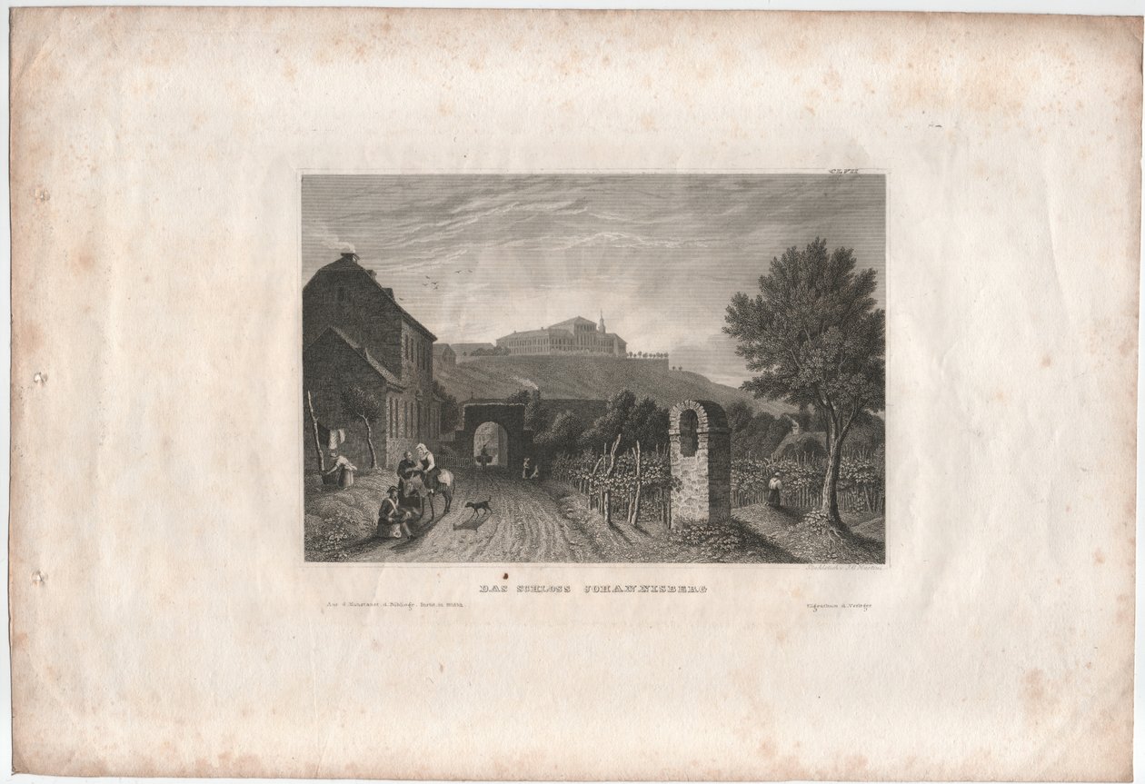 Johannisberg slott av Johann Georg Martini