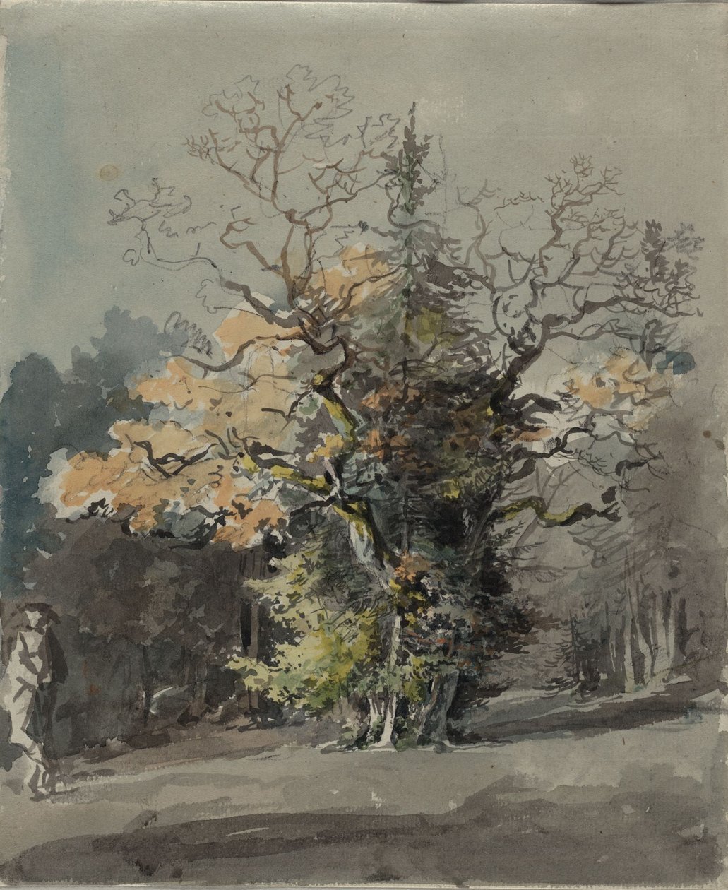 Tregruppe foran skog av Johann Georg von Dillis