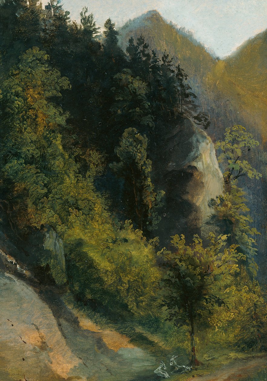 Skogkledd kløft med geiter av Johann Georg von Dillis