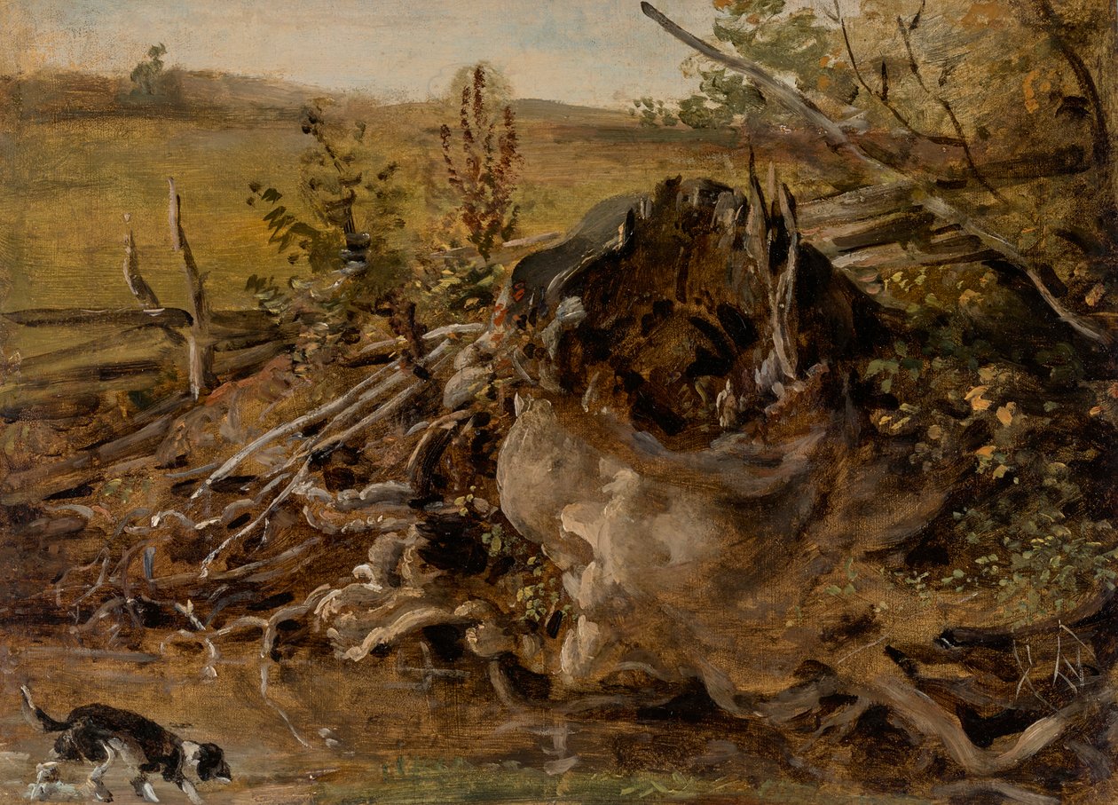 Råtnende trestubbe og hund av Johann Georg von Dillis