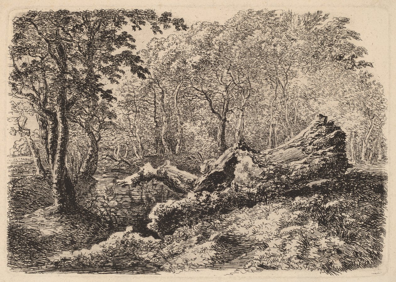Formende trestamme av Johann Georg von Dillis