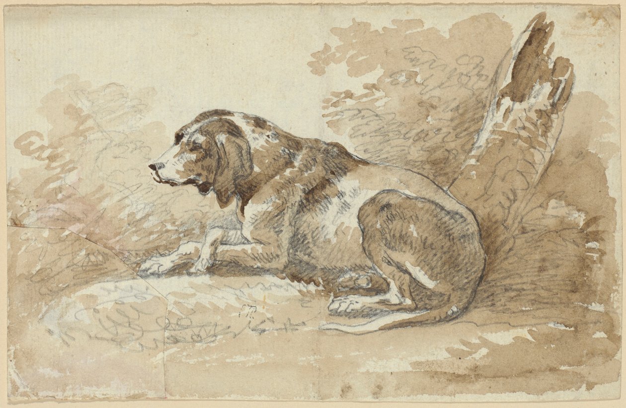 To hundestudier av Johann Georg von Dillis