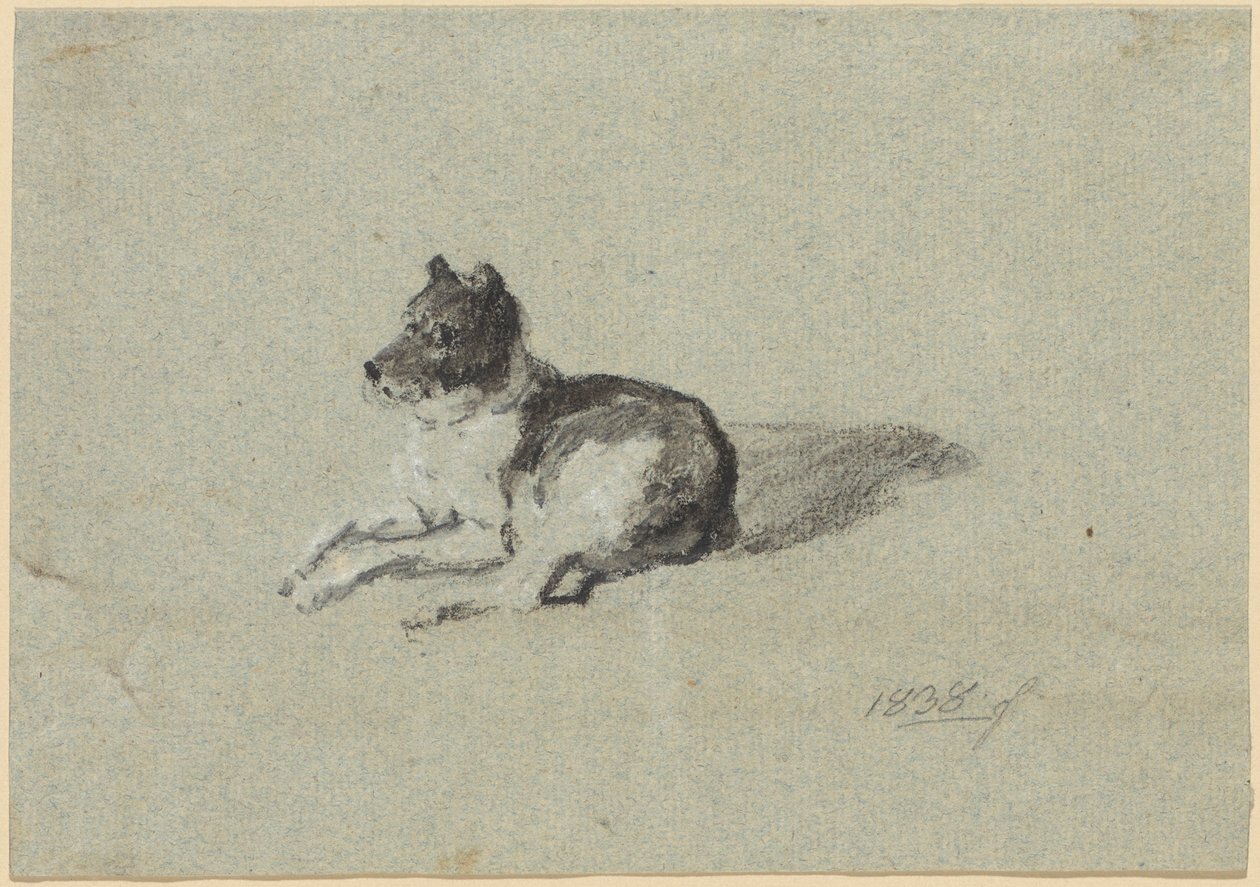 To hundestudier av Johann Georg von Dillis