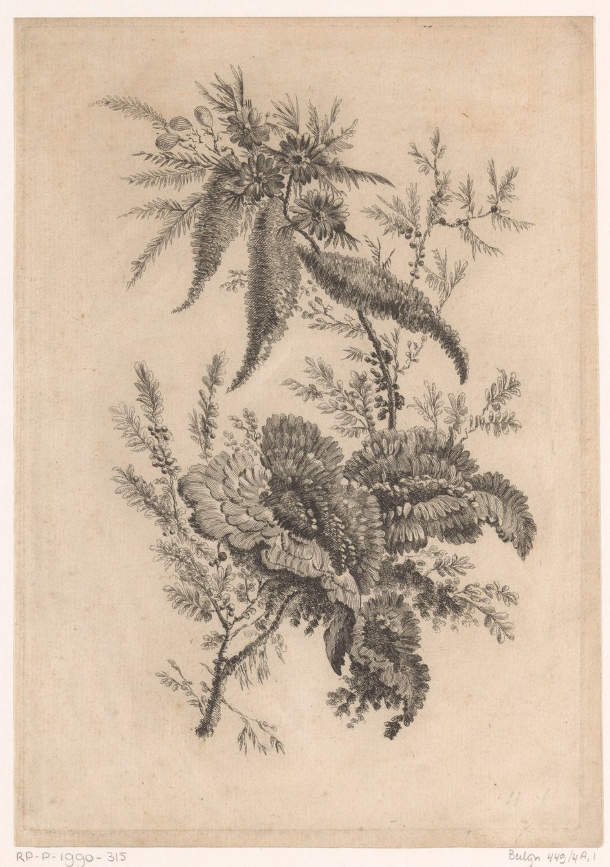 Wilde roosachtigen Samling av nye smaksblomster; For Manufacture des Etoffes de Perse (serietittel) av Johann Heinrich  Hess