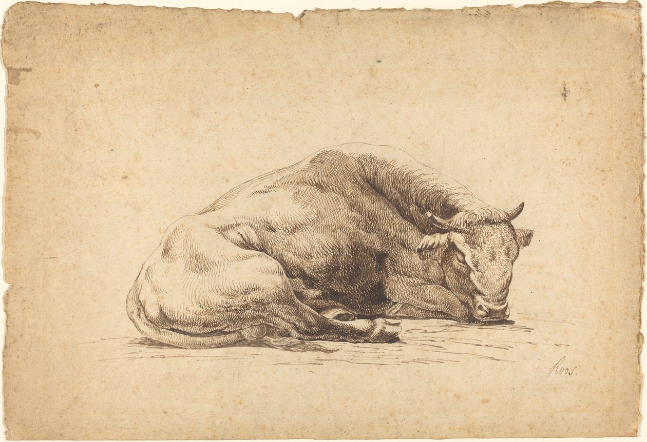En okse som sover av Johann Heinrich Roos