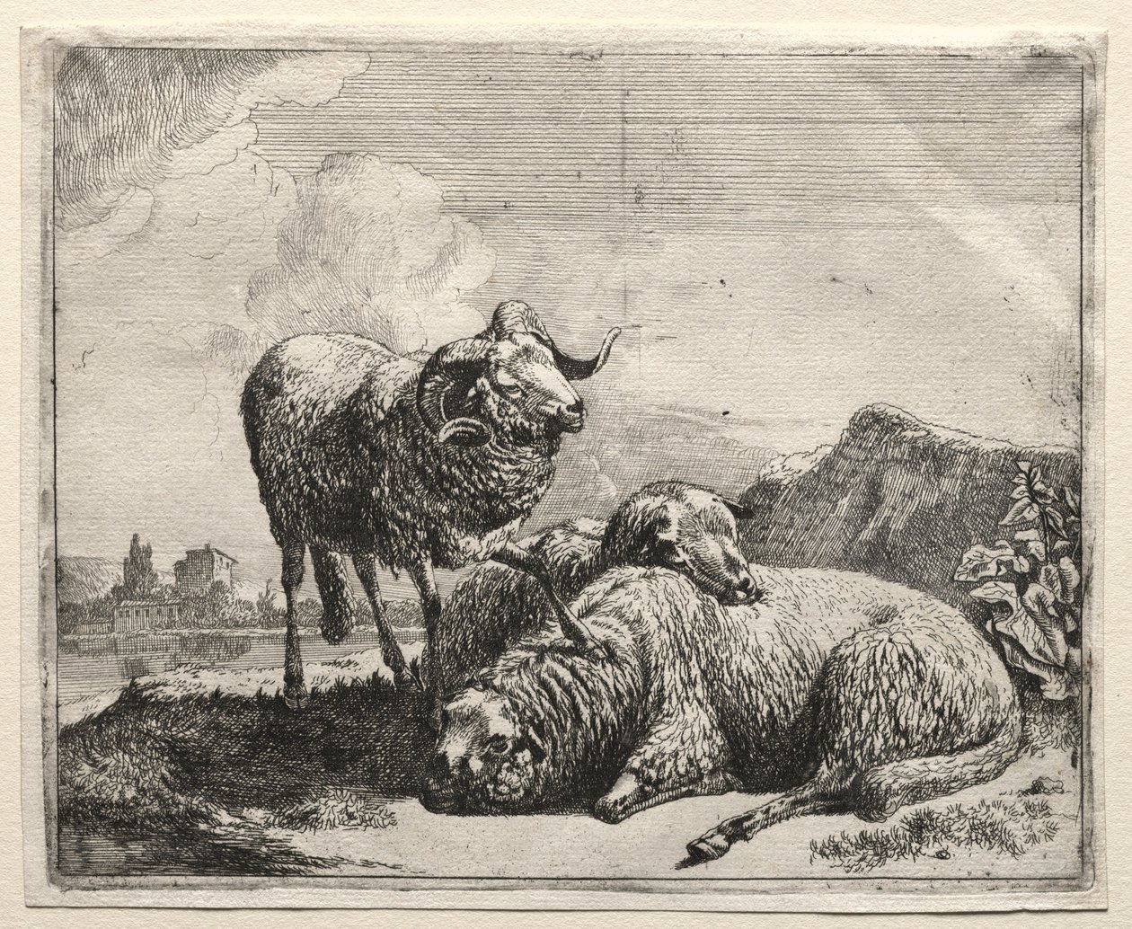 Vær og to sauer, 1665. av Johann Heinrich Roos