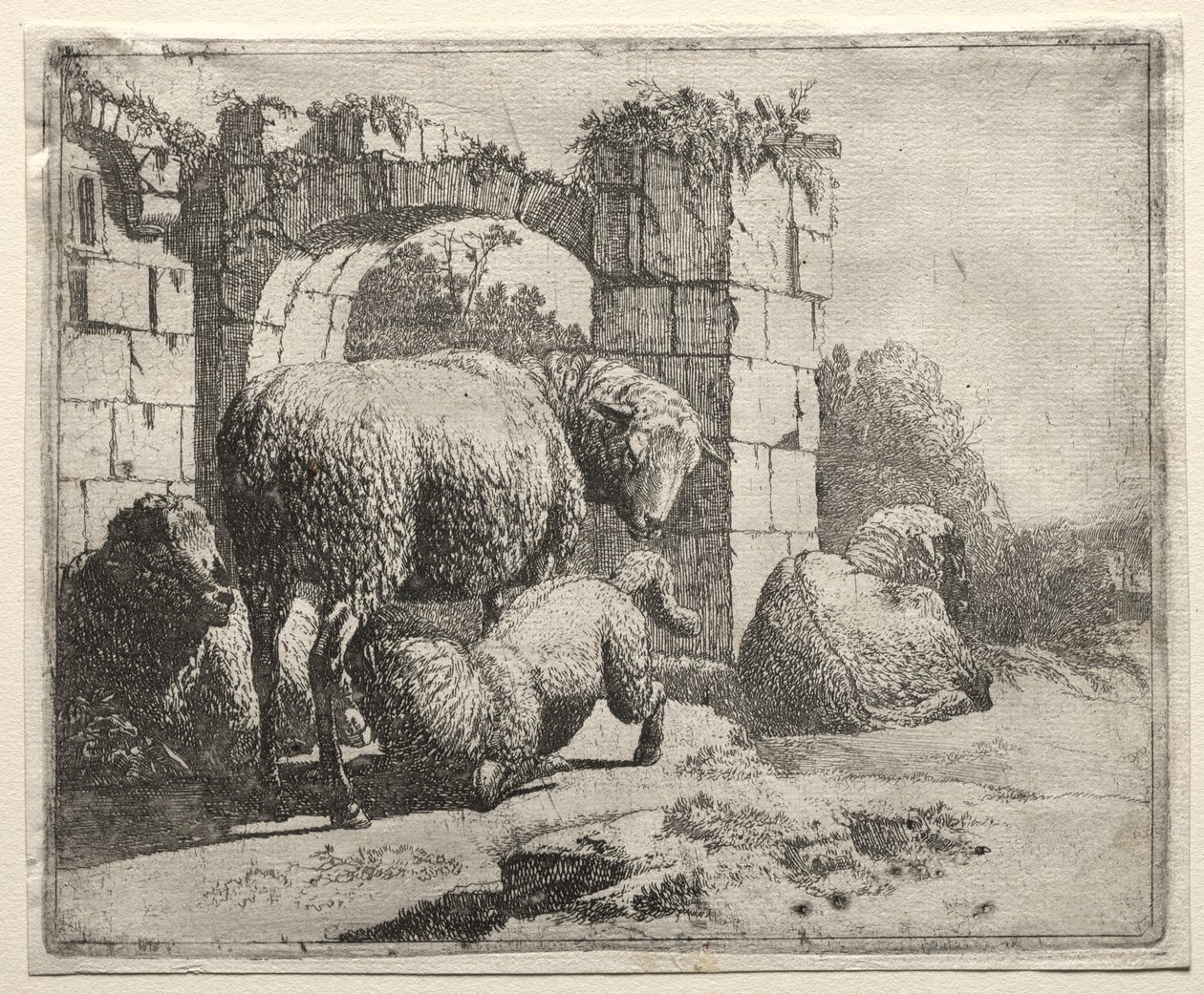 Sau nær ruinene av en bue av Johann Heinrich Roos