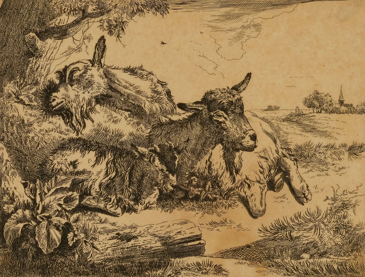  av Johann Heinrich Roos