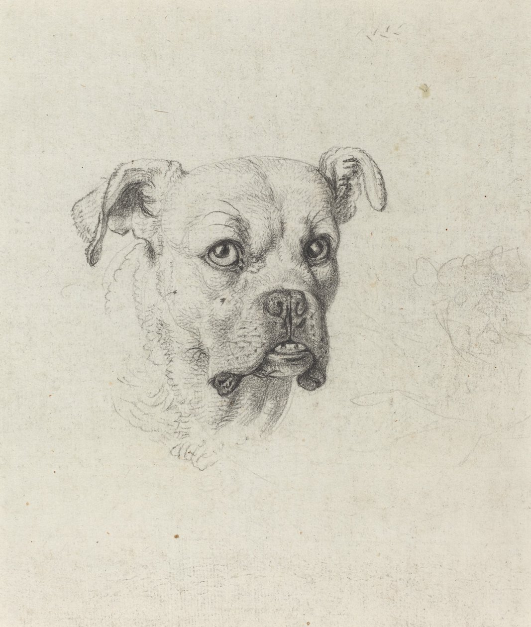 En bokser av Johann Heinrich Wilhelm Tischbein